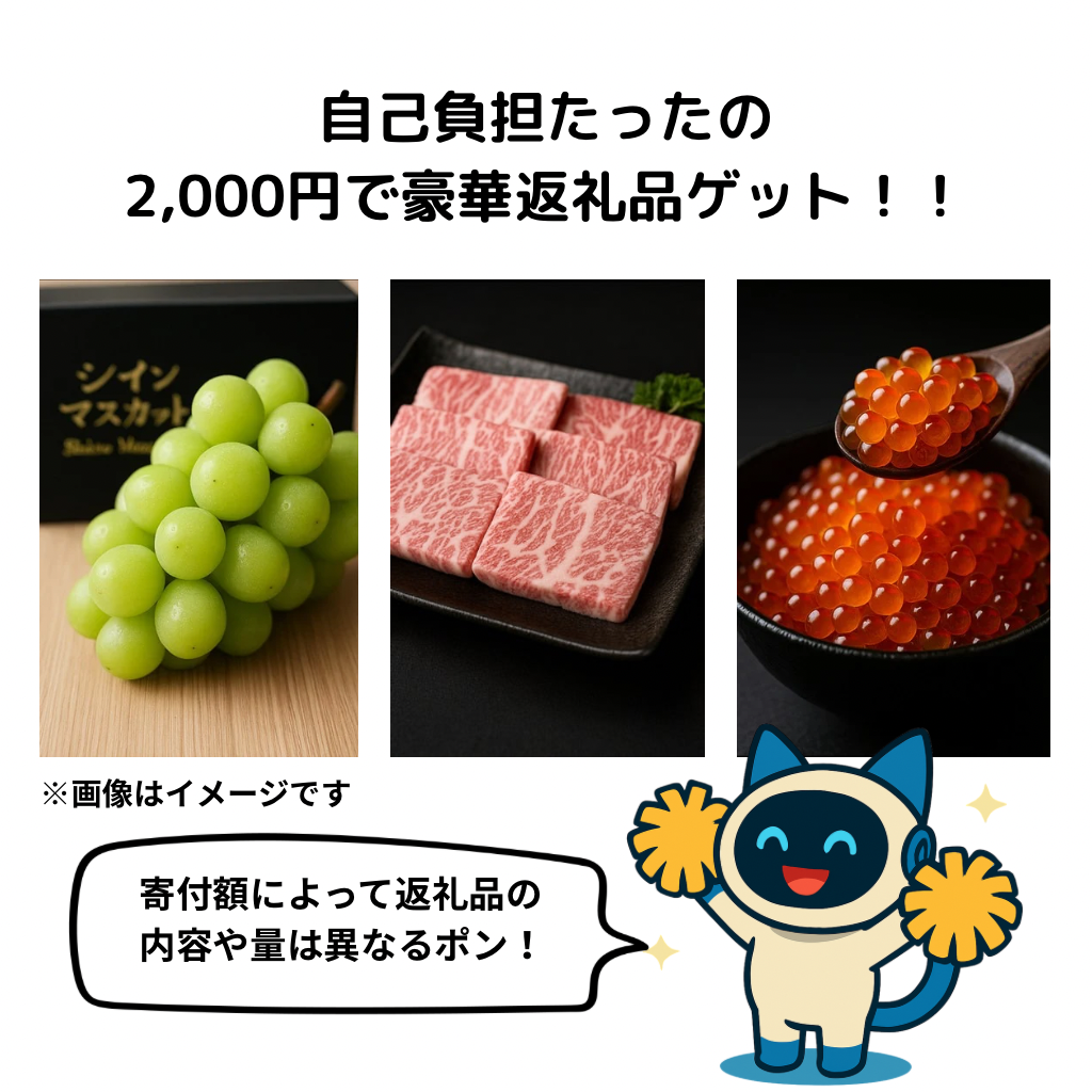 返礼品イメージ